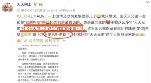 爆料娱乐圈模板下载,揭秘明星背后的秘密与真相