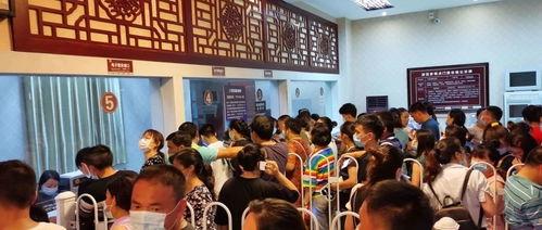 咸宁今日爆料新闻视频,视频揭露惊人真相！